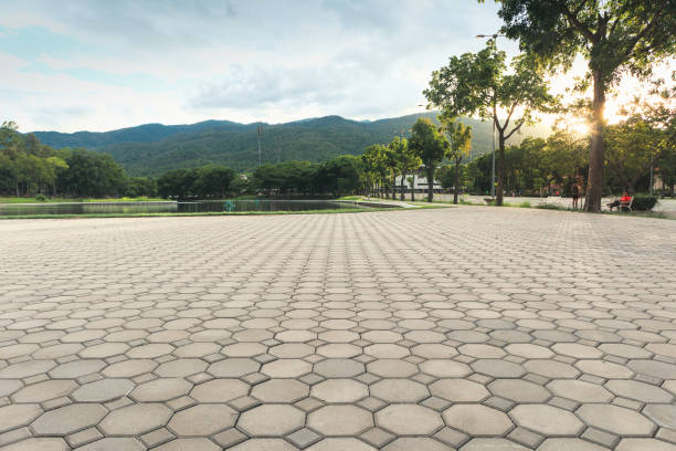Best Professional Driveway Pavers  in Wade Hampton, SC